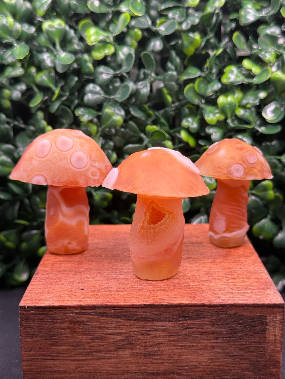 Spectacular Orange Gobi Eye Agate Mushroom Carvings